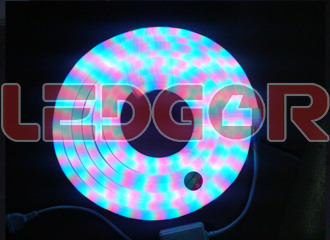 Zebra RGB LED Neon Flex